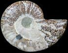 Agatized Ammonite Fossil (Half) #39611-1